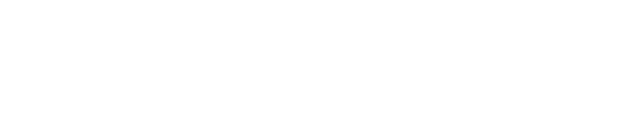 EIDOS CONSULTORES